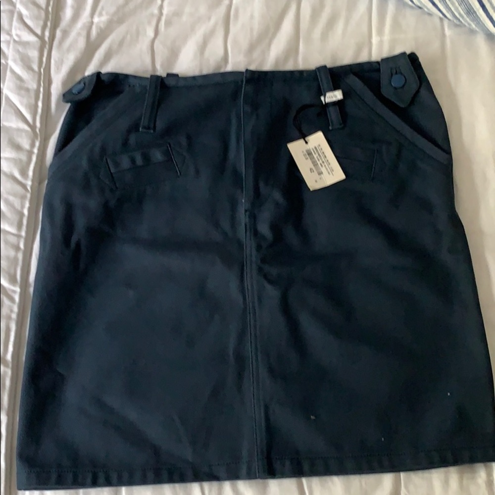 Balenciaga Skirt